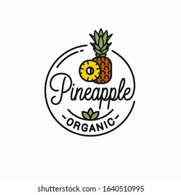 Pineapple fruit logo. Round linear logo of pineapple slice on white  background