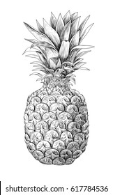 Pineapple fruit on white background. Element for design
