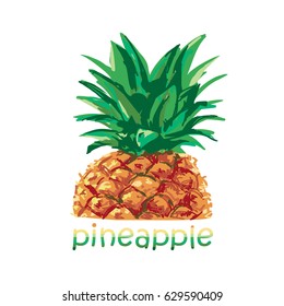 Pineapple fruit on a white background. Vector illustration.