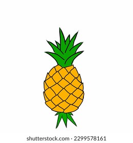 Pineapple is a fruit plant in the form of a bush which has the scientific name Ananas comosus