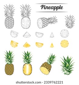 Pineapple fruit  Realistic