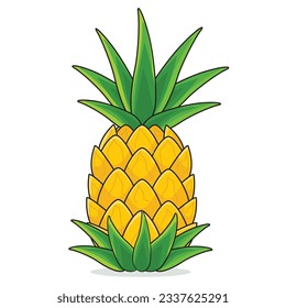 Pineapple fruit. ripe pineaplle. cut pineapple. pineapple vector cartoon icon design illustration