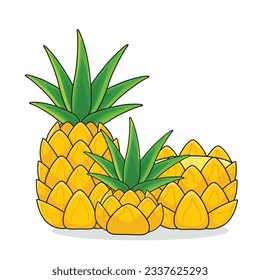 Pineapple fruit. ripe pineaplle. cut pineapple. pineapple vector cartoon icon design illustration