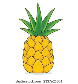 Pineapple fruit. ripe pineaplle. cut pineapple. pineapple vector cartoon icon design illustration