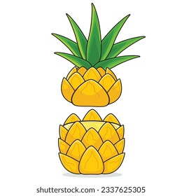 Pineapple fruit. ripe pineaplle. cut pineapple. pineapple vector cartoon icon design illustration
