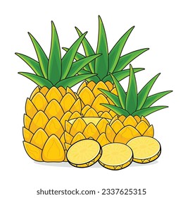 Pineapple fruit. ripe pineaplle. cut pineapple. pineapple vector cartoon icon design illustration