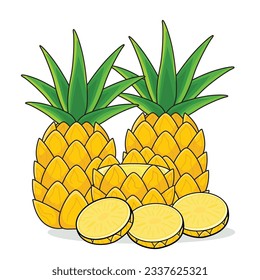 Pineapple fruit. ripe pineaplle. cut pineapple. pineapple vector cartoon icon design illustration