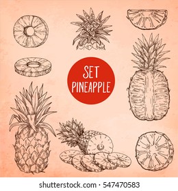 pineapple fruit set, Hand drawn sketch style, Exotic tropical fruit vector drawings