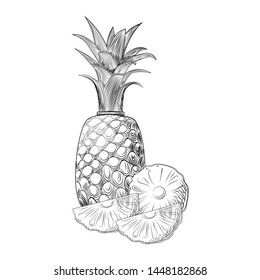 Pineapple fruit sketch. Slices of pineapple. Exotic tropical fruit. Engraving style. Hand drawn vector illustration isolated on white background.