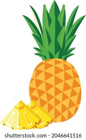 Pineapple fruit slice in half, isolated, illustration