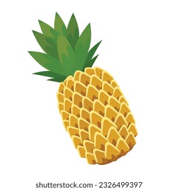 pineapple fruit sliced whole summer juice refreshment sunny tropical dessert quench food