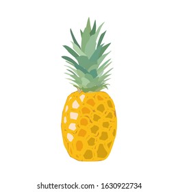 Pineapple fruit. Stock vector illustration isolated on white.
