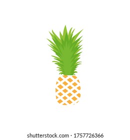 Pineapple fruit. Summer fruits for healthy lifestyle. 
