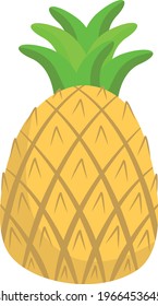Pineapple fruit. Summer fruits for a healthy lifestyle. Vector illustration in a flat style.