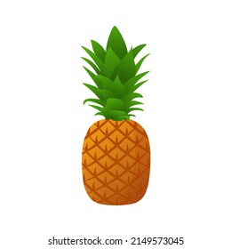 Pineapple fruit. Summer fruits for healthy lifestyle. Cartoon style vector illustration.