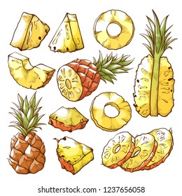 Pineapple fruit and sweet tropical fresh slices. Yellow flesh and juicy dessert. Vector flat style cartoon illustration isolated on blue background