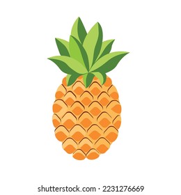Pineapple fruit. Tropical fruit isolated on white background. Vector illustration cartoon flat icon.