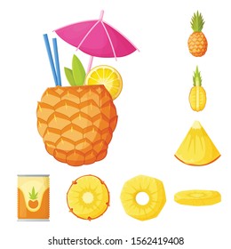 Pineapple fruit vector cartoon icon set.Vector isolated illustration pineapple and dessert.Icon set of fruit and food.