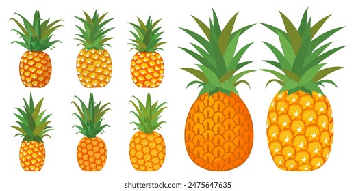 
Ananasfrucht Vektorgrafik Kollektion. Ananasfrucht Illustration im flachen Stil. Frische Sommerfrüchte.