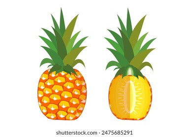 pineapple fruit vector collection. pineapple fruit illustration in flat style. fresh summer fruit.