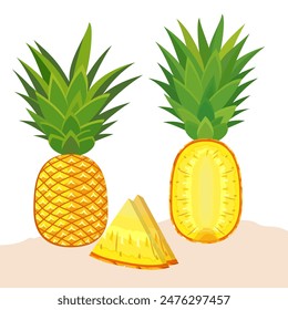 pineapple fruit vector collection. pineapple fruit illustration in flat style. fresh summer fruit.