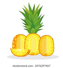 pineapple fruit vector collection. pineapple fruit illustration in flat style. fresh summer fruit.