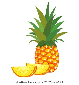 pineapple fruit vector collection. pineapple fruit illustration in flat style. fresh summer fruit.