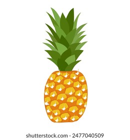 pineapple fruit vector collection. pineapple fruit illustration in flat style. fresh summer fruit.