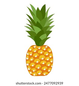 pineapple fruit vector. pineapple fruit vector collection. pineapple fruit illustration in flat style. fresh summer fruit.