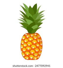 pineapple fruit vector. pineapple fruit vector collection. pineapple fruit illustration in flat style. fresh summer fruit.