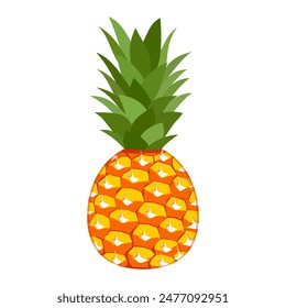 pineapple fruit vector. pineapple fruit vector collection. pineapple fruit illustration in flat style. fresh summer fruit.