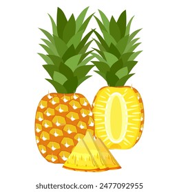 pineapple fruit vector. pineapple fruit vector collection. pineapple fruit illustration in flat style. fresh summer fruit.