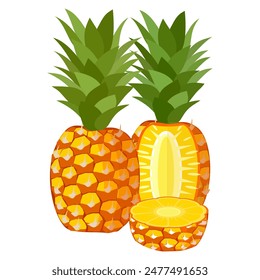 pineapple fruit vector. pineapple fruit vector collection. pineapple fruit illustration in flat style. fresh summer fruit.