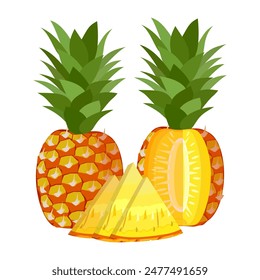 pineapple fruit vector. pineapple fruit vector collection. pineapple fruit illustration in flat style. fresh summer fruit.