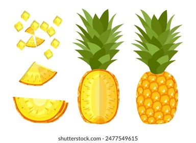 pineapple fruit vector. pineapple fruit vector collection. pineapple fruit illustration in flat style. fresh summer fruit.