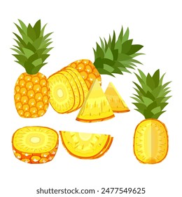 pineapple fruit vector. pineapple fruit vector collection. pineapple fruit illustration in flat style. fresh summer fruit.