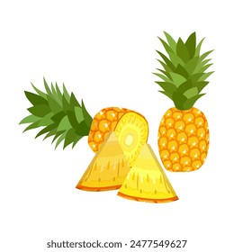 pineapple fruit vector. pineapple fruit vector collection. pineapple fruit illustration in flat style. fresh summer fruit.