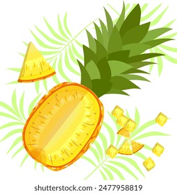 pineapple fruit vector. pineapple fruit vector collection. pineapple fruit illustration in flat style. fresh summer fruit.