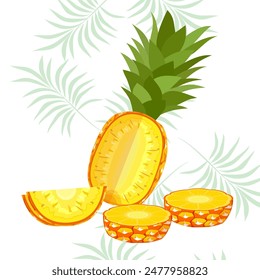 pineapple fruit vector. pineapple fruit vector collection. pineapple fruit illustration in flat style. fresh summer fruit.