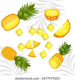 pineapple fruit vector. pineapple fruit vector collection. pineapple fruit illustration in flat style. fresh summer fruit.