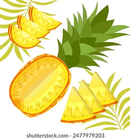 pineapple fruit vector. pineapple fruit vector collection. pineapple fruit illustration in flat style. fresh summer fruit.
