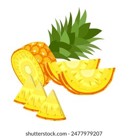 pineapple fruit vector. pineapple fruit vector collection. pineapple fruit illustration in flat style. fresh summer fruit.