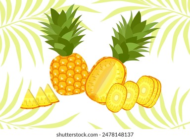 pineapple fruit vector. pineapple fruit vector collection. pineapple fruit illustration in flat style. fresh summer fruit background.
