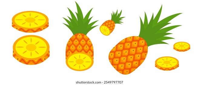 Pineapple fruit vector. pineapple fruit vector collection. pineapple fruit illustration in flat style. fresh summer fruit.