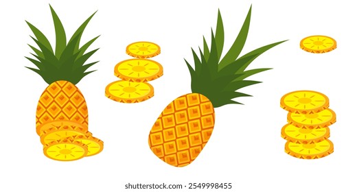 Pineapple fruit vector. pineapple fruit vector collection. pineapple fruit illustration in flat style. fresh summer fruit.