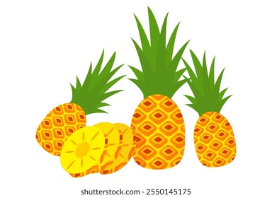 Pineapple fruit vector. pineapple fruit vector collection. pineapple fruit illustration in flat style. fresh summer fruit.