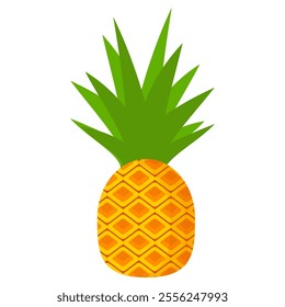 pineapple fruit vector. pineapple fruit vector collection. pineapple fruit illustration in flat style. fresh summer fruit.