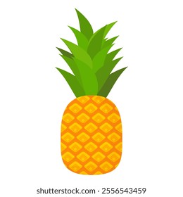 pineapple fruit vector. pineapple fruit vector collection. pineapple fruit illustration in flat style. fresh summer fruit.