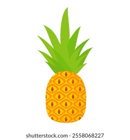 pineapple fruit vector. pineapple fruit vector collection. pineapple fruit illustration in flat style. fresh summer fruit.