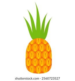 pineapple fruit vector. pineapple fruit vector collection. pineapple fruit illustration in flat style. fresh summer fruit.